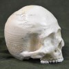 Skull Pottery